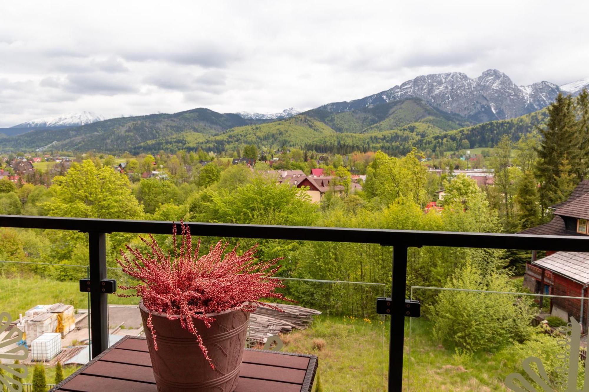 Polana Szymoszkowa - Chamerion Apartament Zakopane